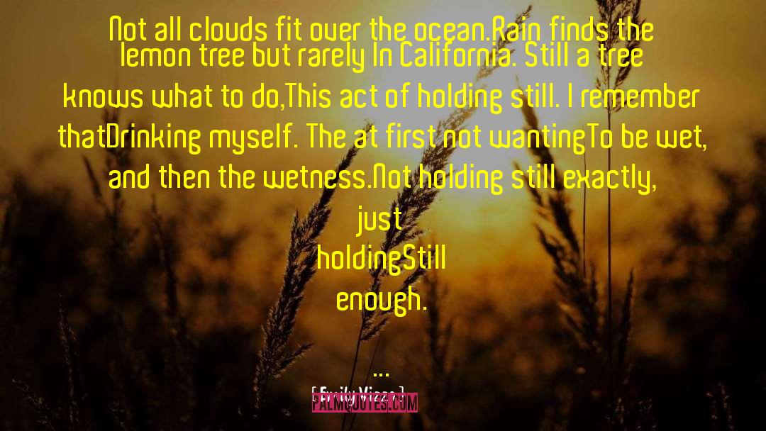 Emily Vizzo Quotes: Not all clouds fit over