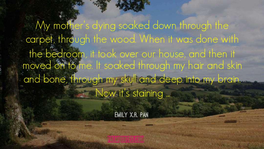 Emily X.R. Pan Quotes: My mother's dying soaked down