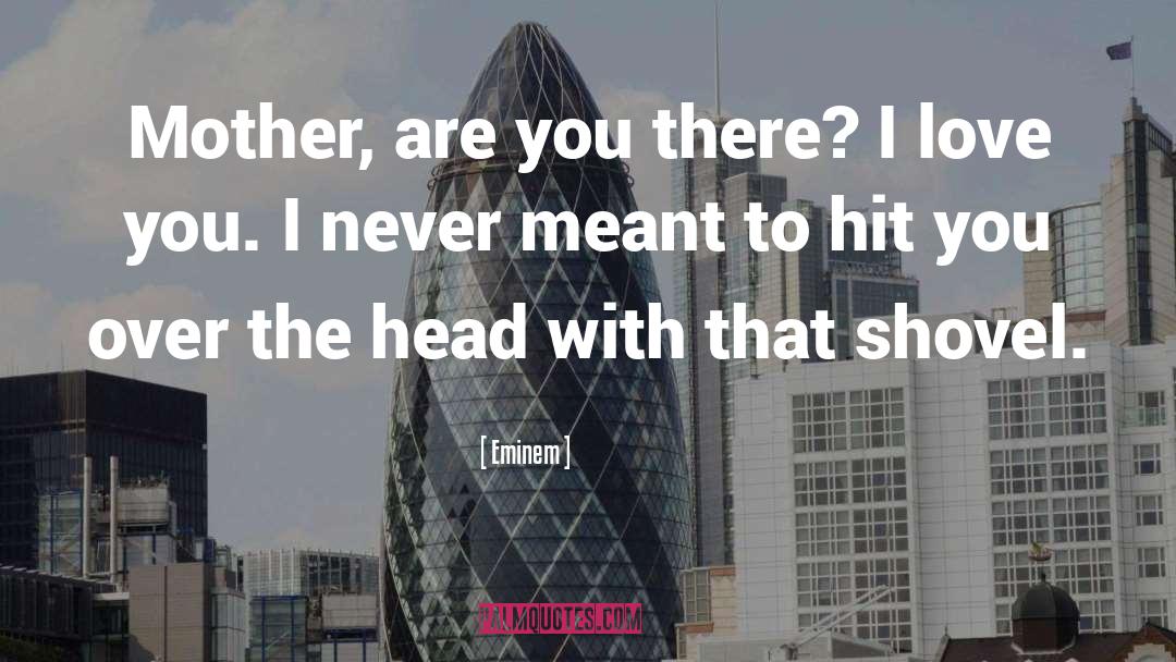 Eminem Quotes: Mother, are you there? I