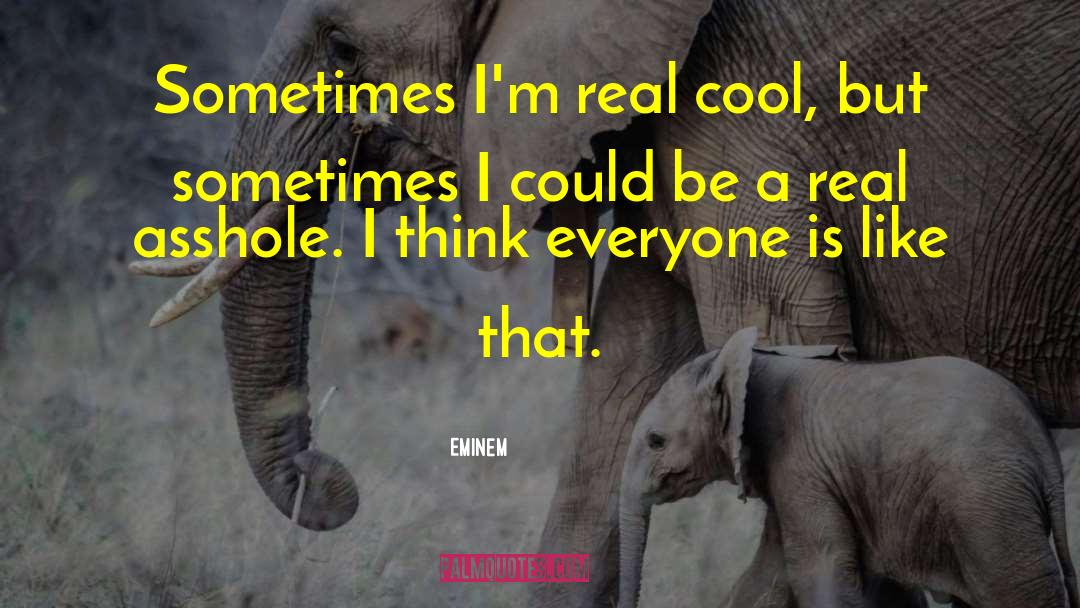 Eminem Quotes: Sometimes I'm real cool, but