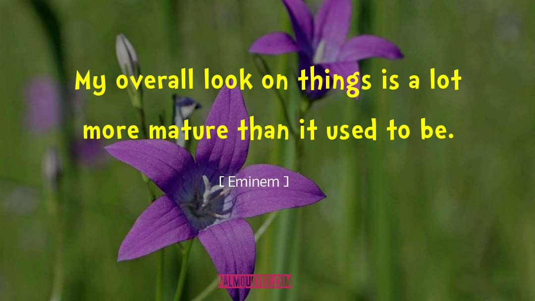 Eminem Quotes: My overall look on things