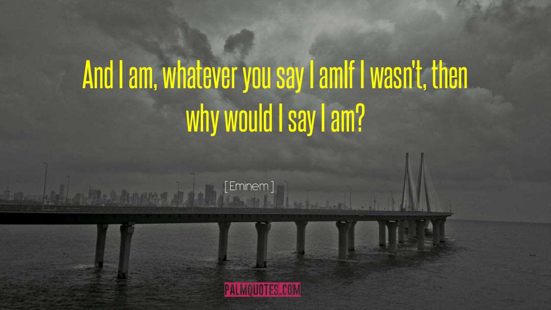 Eminem Quotes: And I am, whatever you