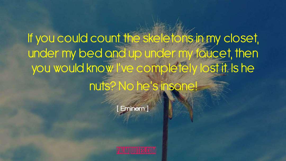 Eminem Quotes: If you could count the