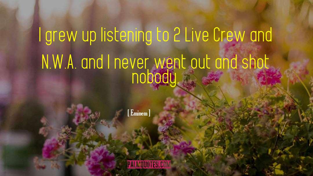 Eminem Quotes: I grew up listening to