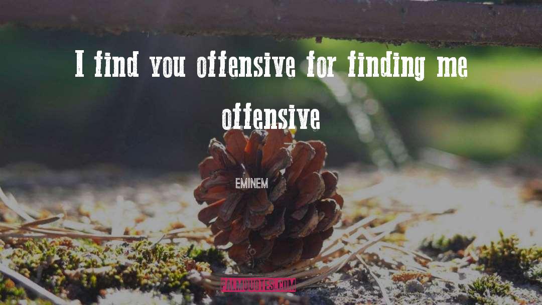Eminem Quotes: I find you offensive for