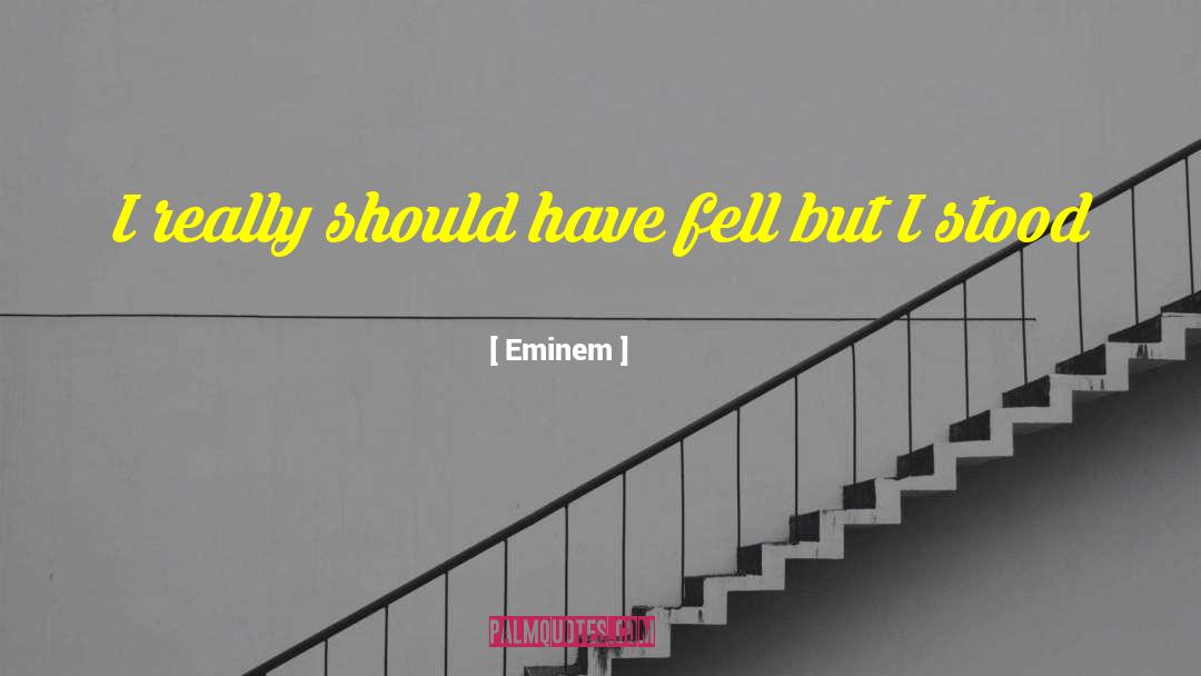 Eminem Quotes: I really should have fell