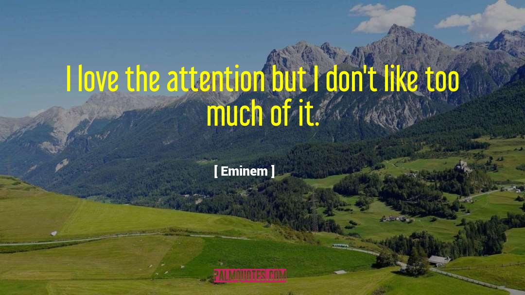 Eminem Quotes: I love the attention but