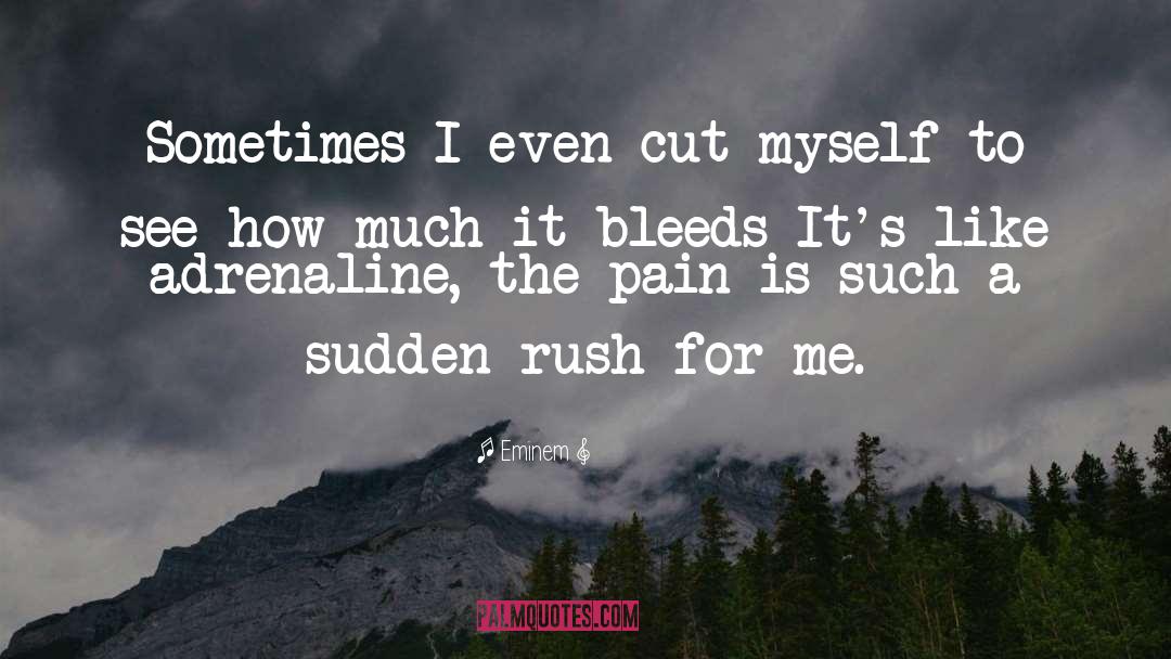 Eminem Quotes: Sometimes I even cut myself