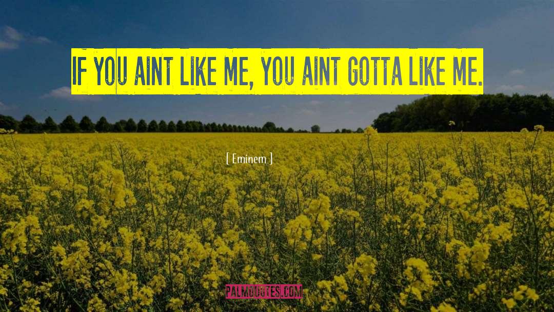 Eminem Quotes: If you aint like me,