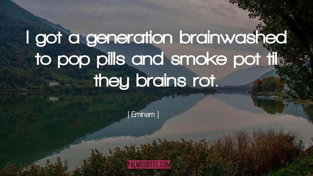 Eminem Quotes: I got a generation brainwashed