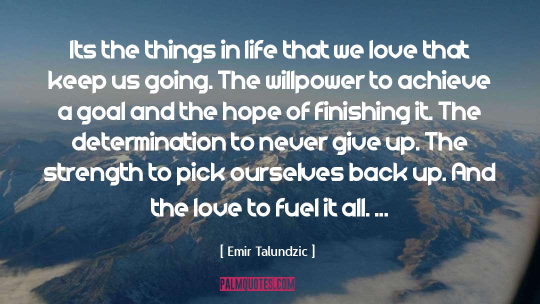 Emir Talundzic Quotes: Its the things in life