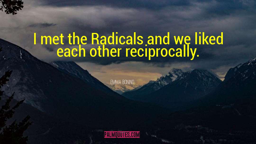 Emma Bonino Quotes: I met the Radicals and