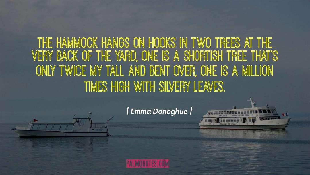 Emma Donoghue Quotes: The hammock hangs on hooks