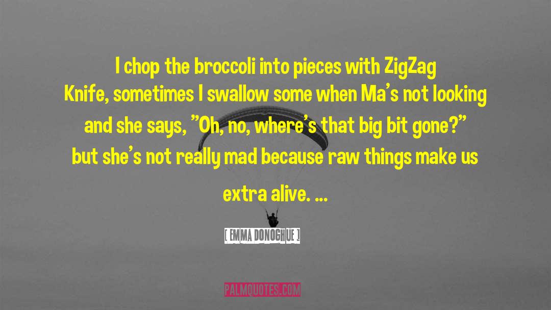 Emma Donoghue Quotes: I chop the broccoli into