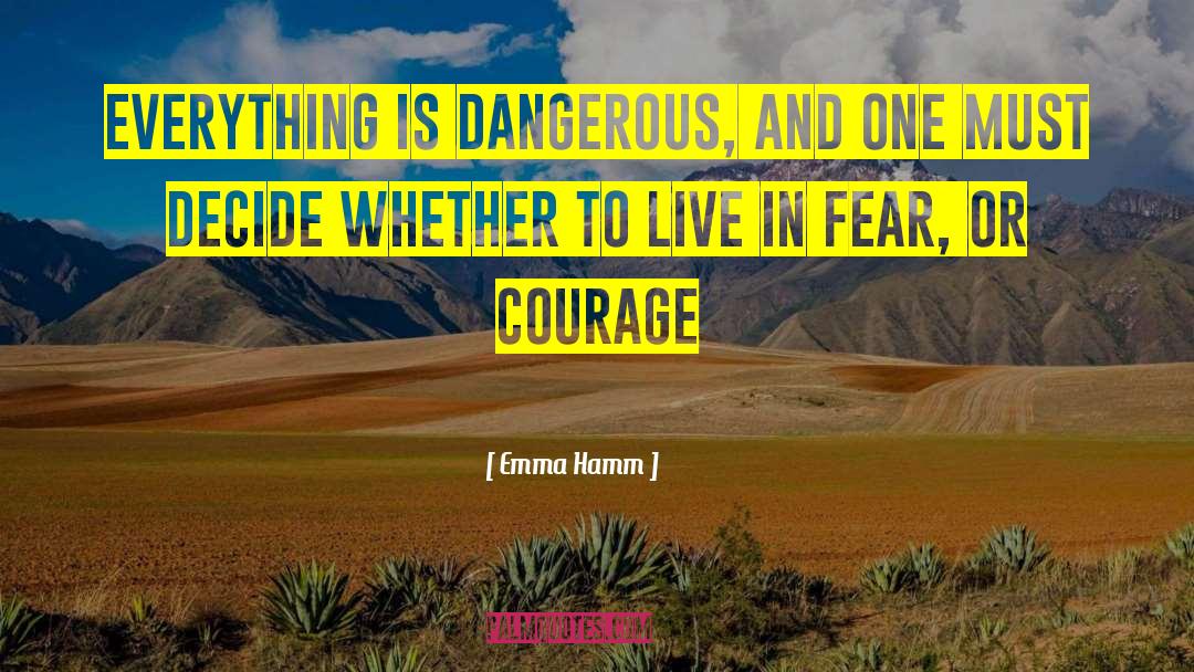 Emma Hamm Quotes: Everything is dangerous, and one