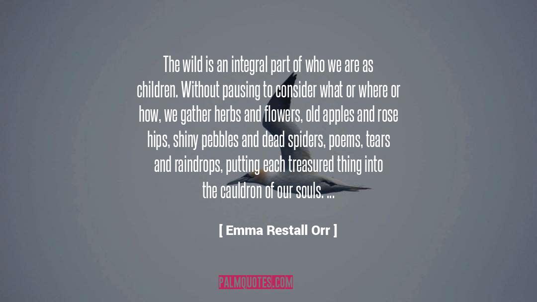 Emma Restall Orr Quotes: The wild is an integral