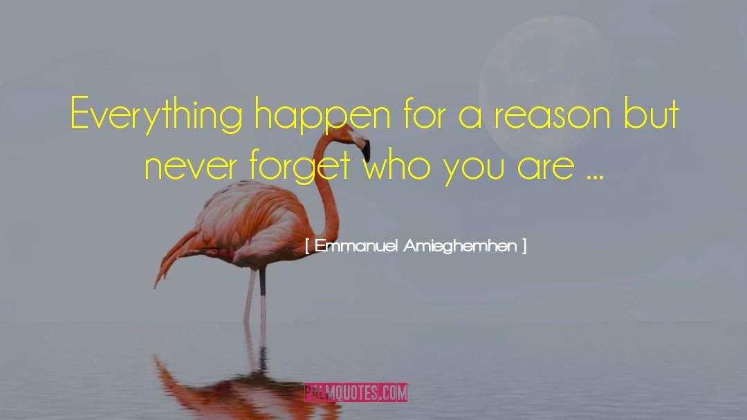 Emmanuel Amieghemhen Quotes: Everything happen for a reason