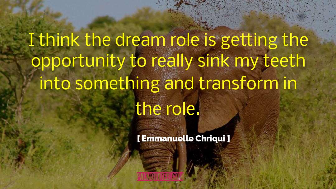 Emmanuelle Chriqui Quotes: I think the dream role