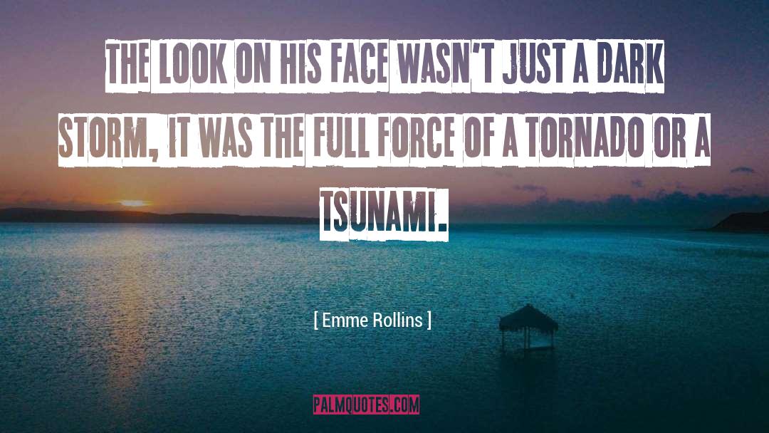 Emme Rollins Quotes: The look on his face