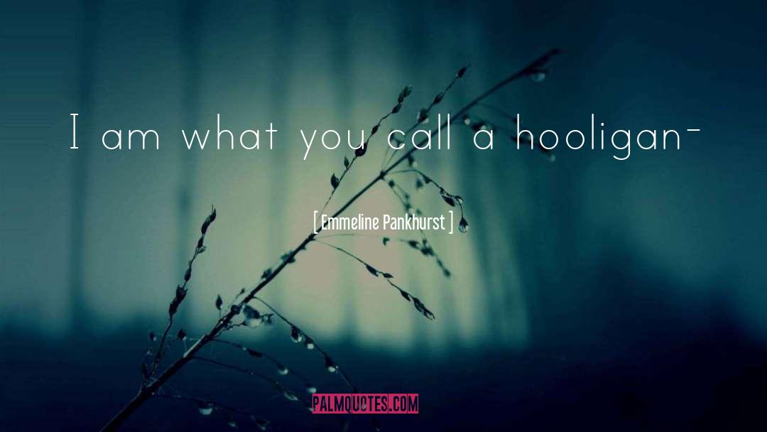 Emmeline Pankhurst Quotes: I am what you call