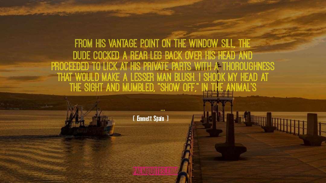 Emmett Spain Quotes: From his vantage point on
