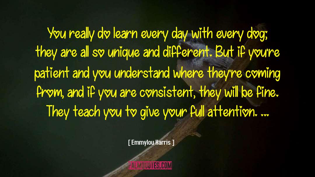 Emmylou Harris Quotes: You really do learn every