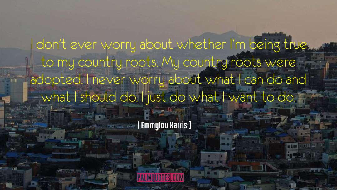 Emmylou Harris Quotes: I don't ever worry about