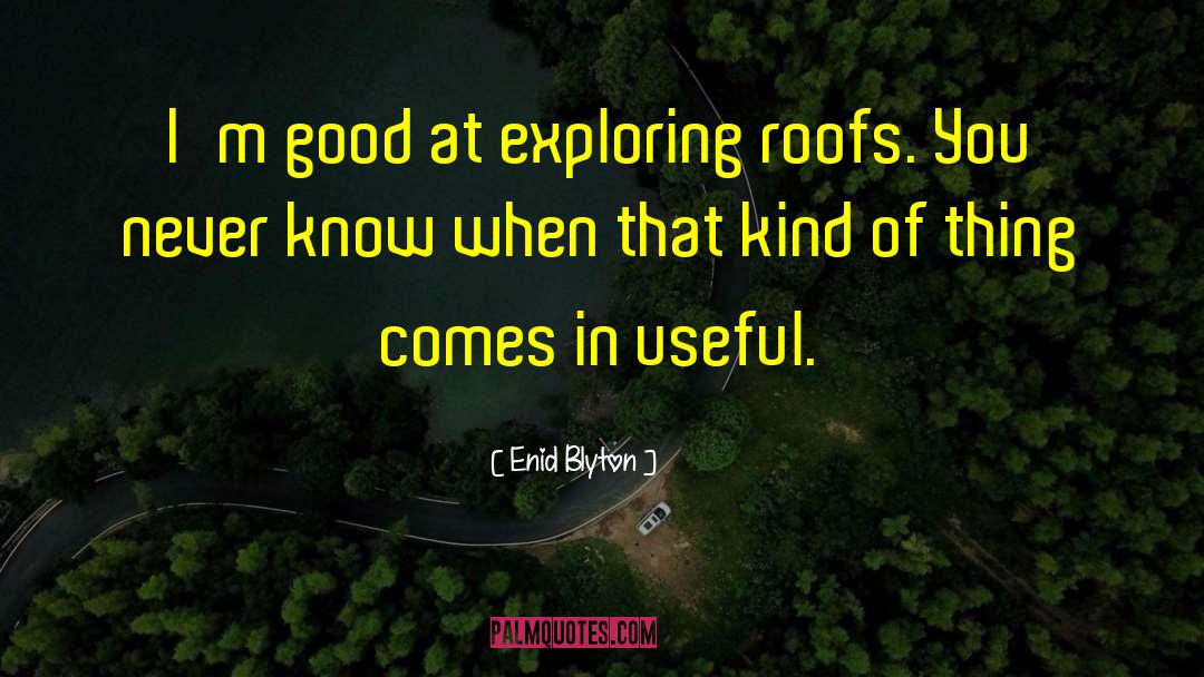 Enid Blyton Quotes: I'm good at exploring roofs.