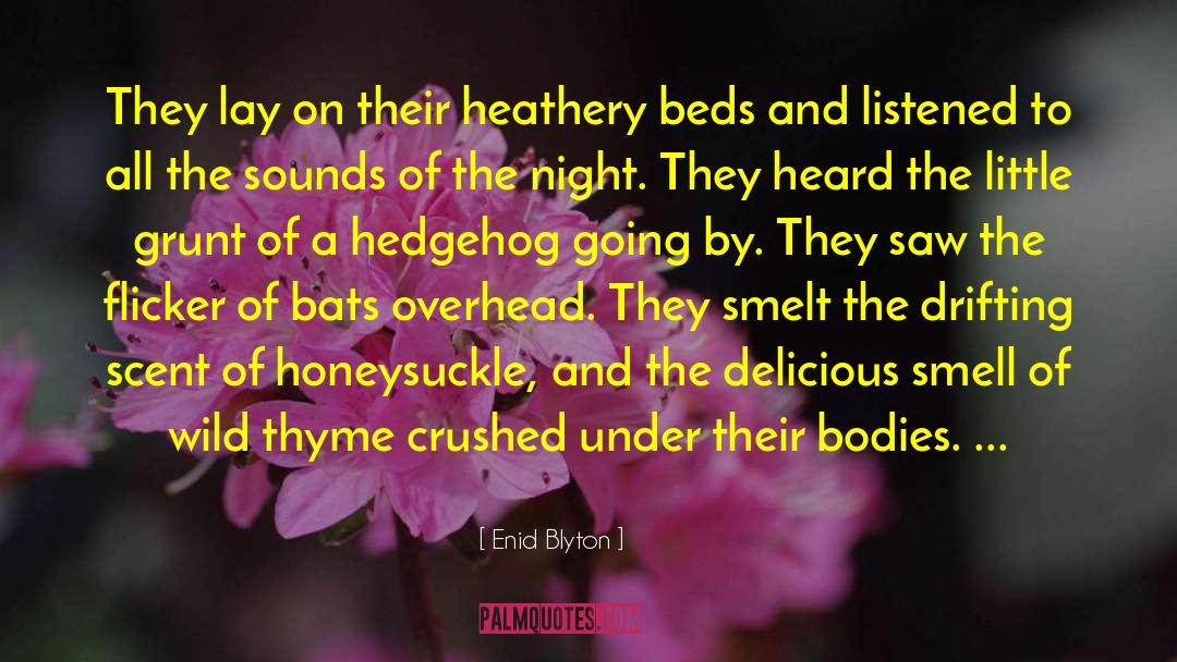 Enid Blyton Quotes: They lay on their heathery