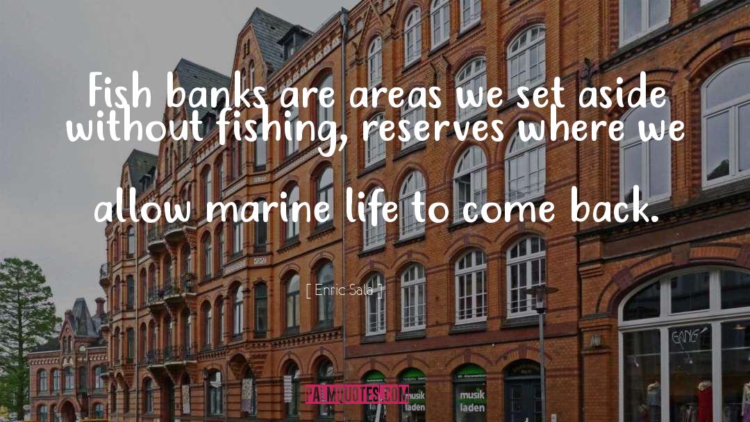 Enric Sala Quotes: Fish banks are areas we