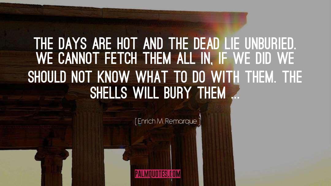 Enrich M. Remarque Quotes: The days are hot and