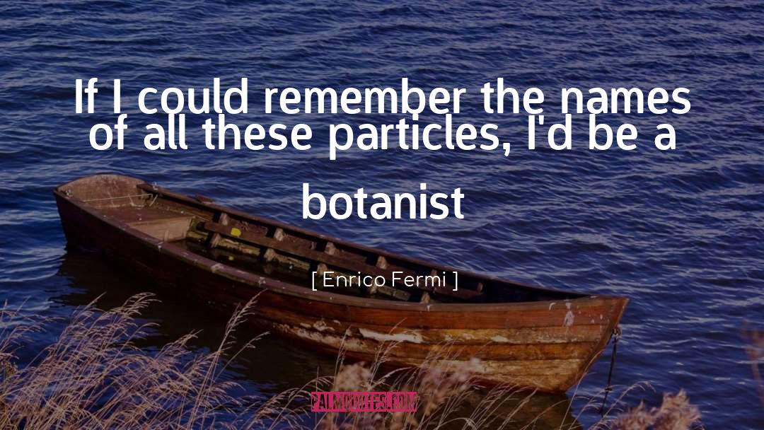Enrico Fermi Quotes: If I could remember the