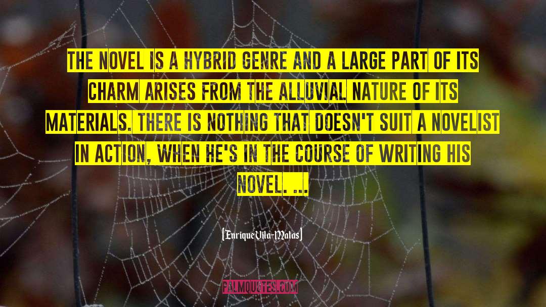 Enrique Vila-Matas Quotes: The novel is a hybrid