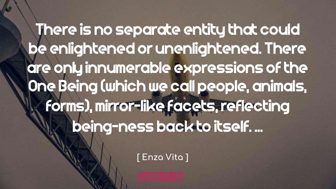 Enza Vita Quotes: There is no separate entity