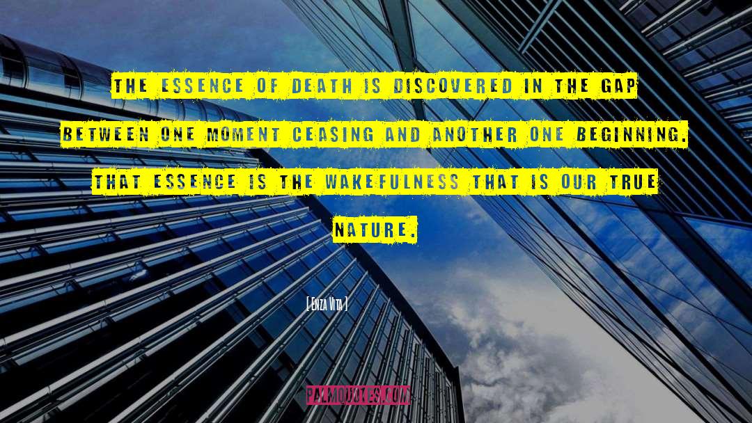 Enza Vita Quotes: The essence of death is