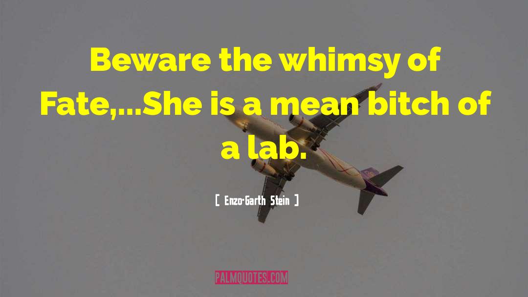 Enzo-Garth Stein Quotes: Beware the whimsy of Fate,...She