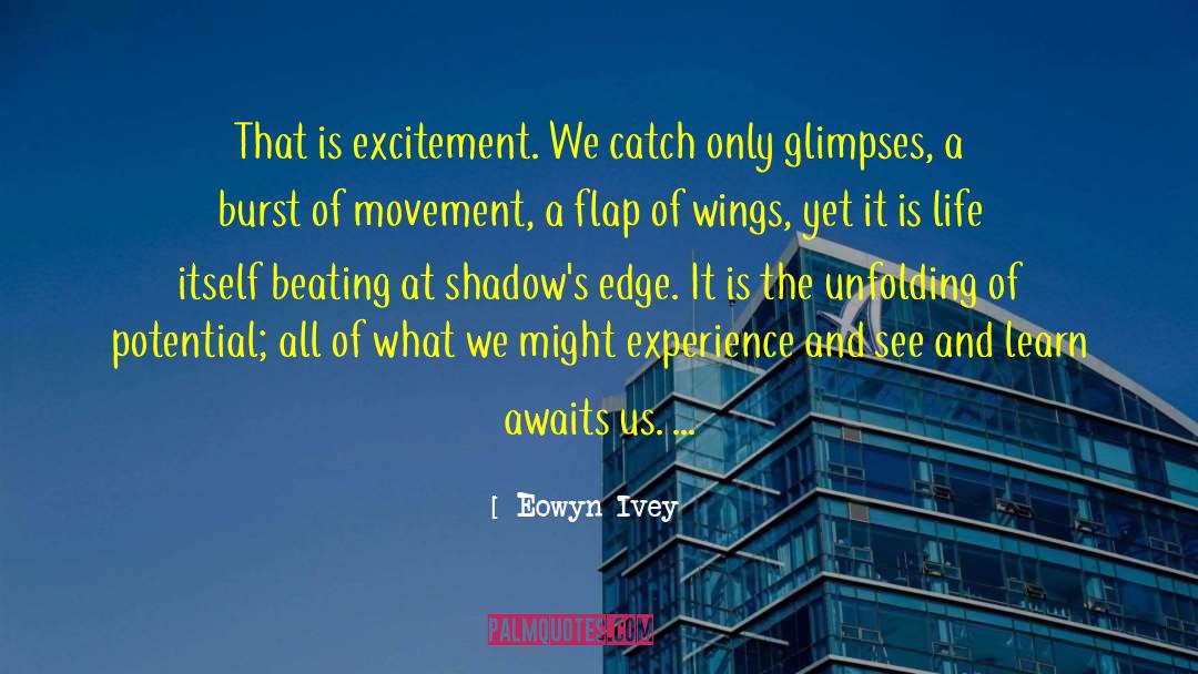 Eowyn Ivey Quotes: That is excitement. We catch