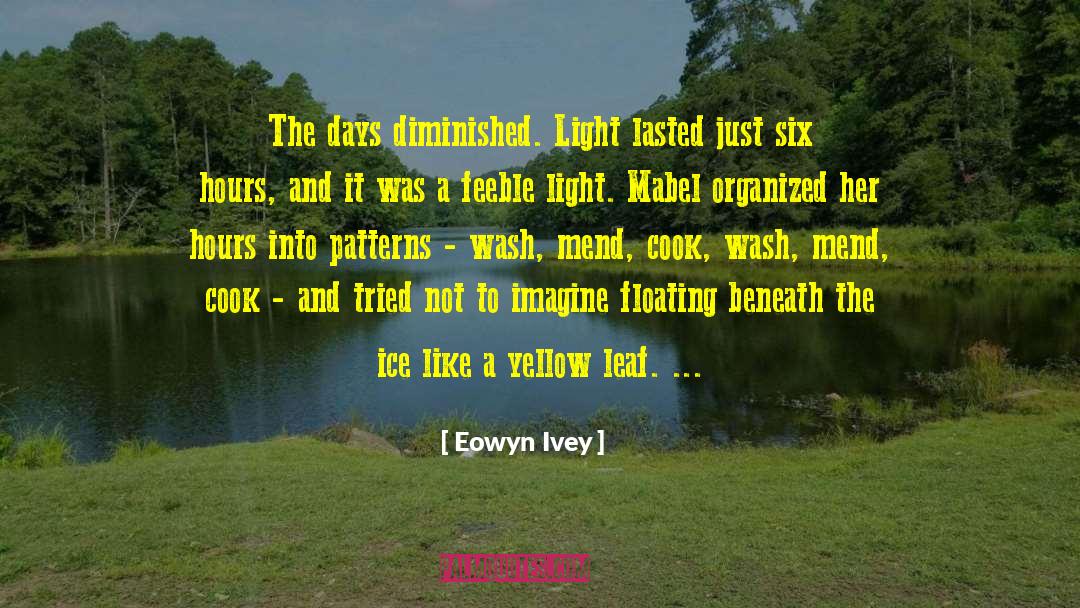 Eowyn Ivey Quotes: The days diminished. Light lasted