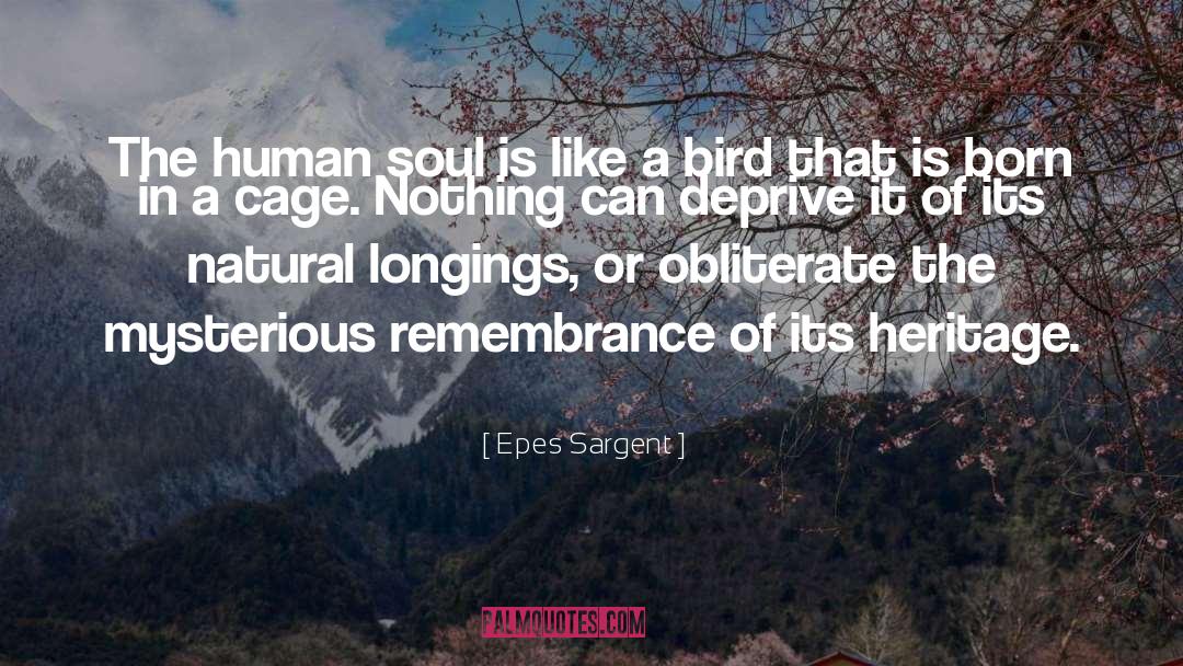 Epes Sargent Quotes: The human soul is like