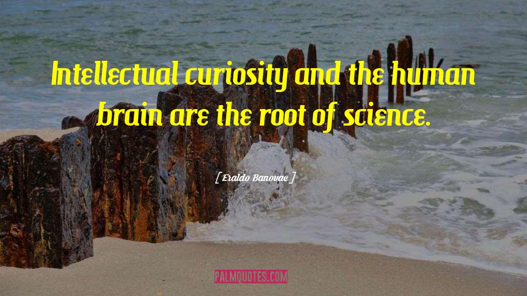 Eraldo Banovac Quotes: Intellectual curiosity and the human