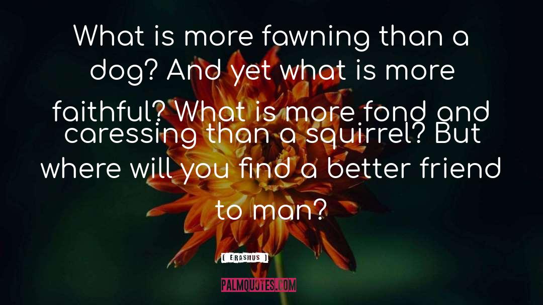 Erasmus Quotes: What is more fawning than