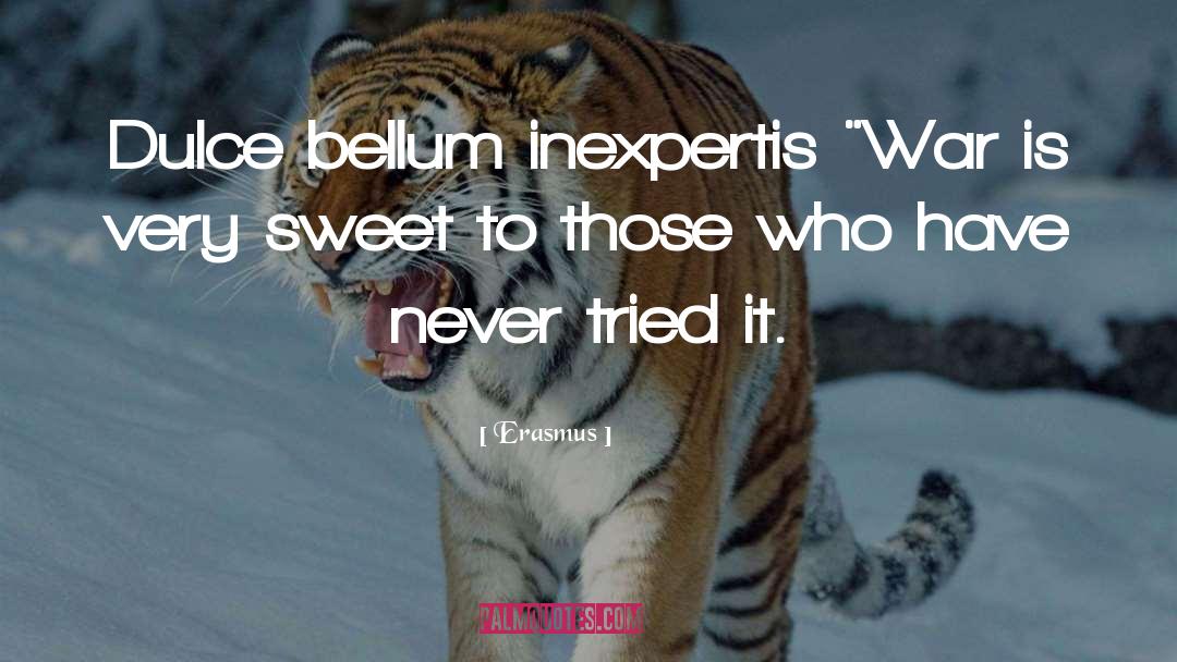 Erasmus Quotes: Dulce bellum inexpertis <br /><br