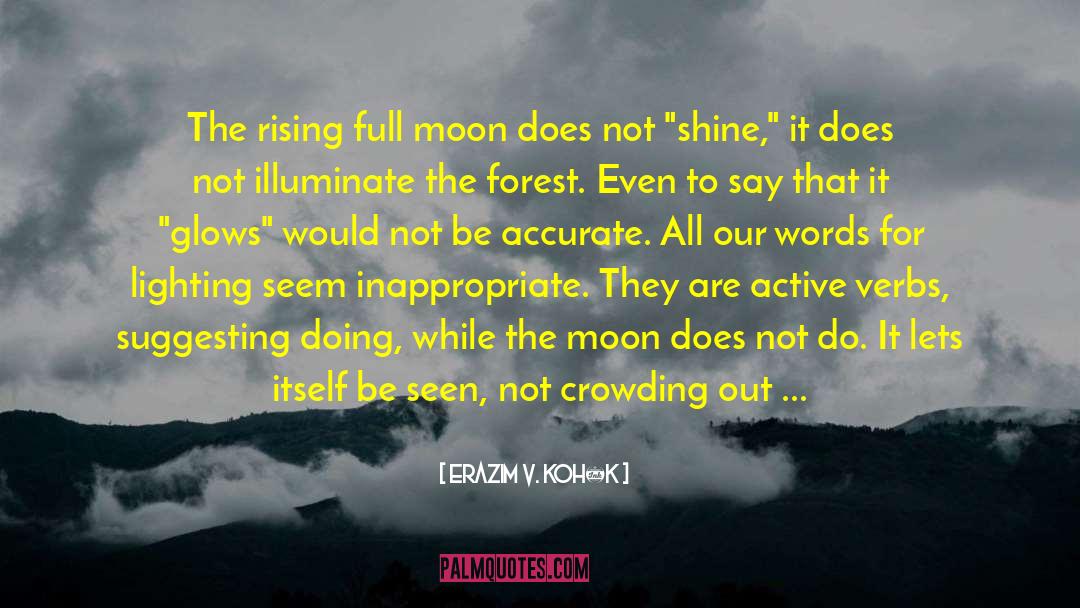 Erazim V. Kohák Quotes: The rising full moon does
