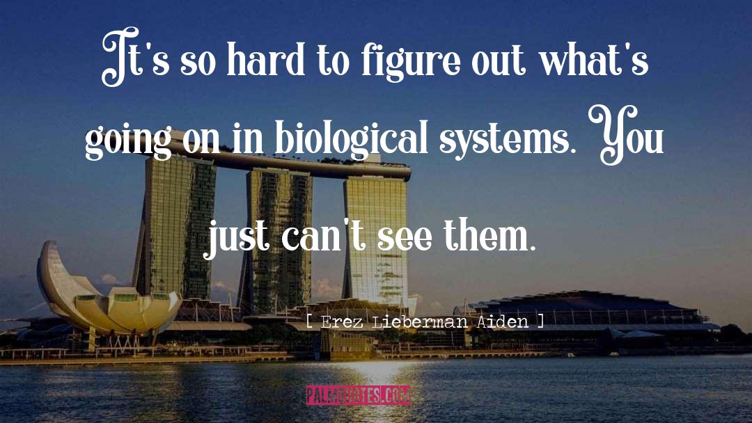 Erez Lieberman Aiden Quotes: It's so hard to figure