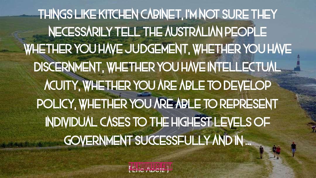 Eric Abetz Quotes: Things like Kitchen Cabinet, I'm