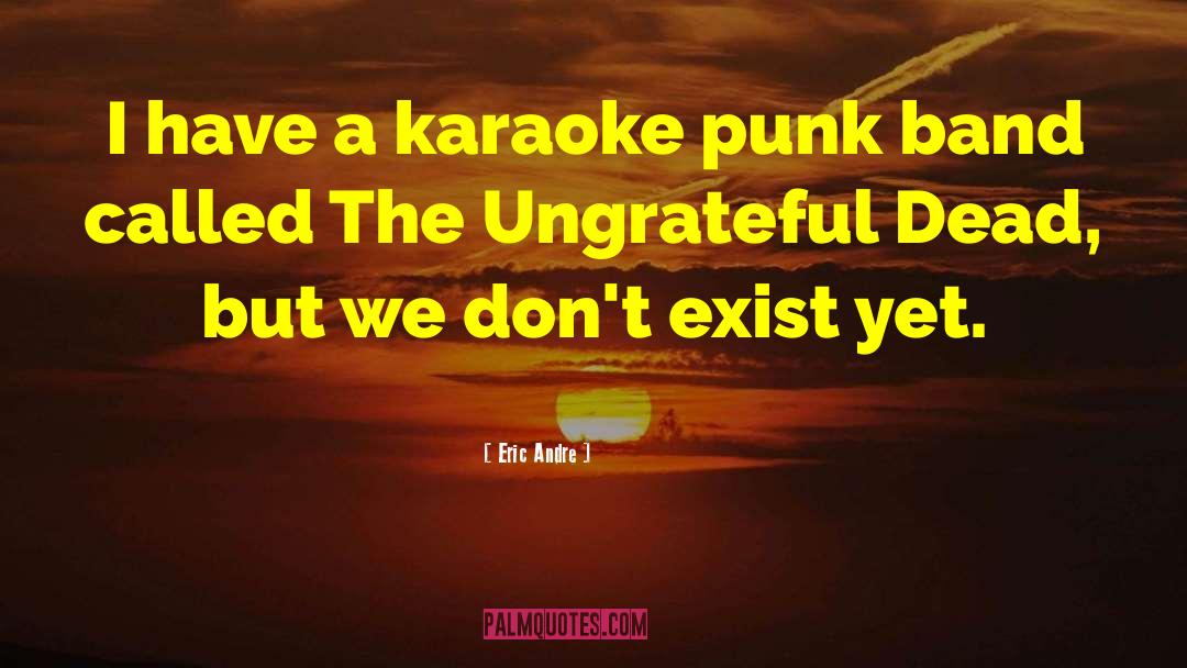 Eric Andre Quotes: I have a karaoke punk