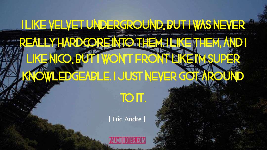 Eric Andre Quotes: I like Velvet Underground, but