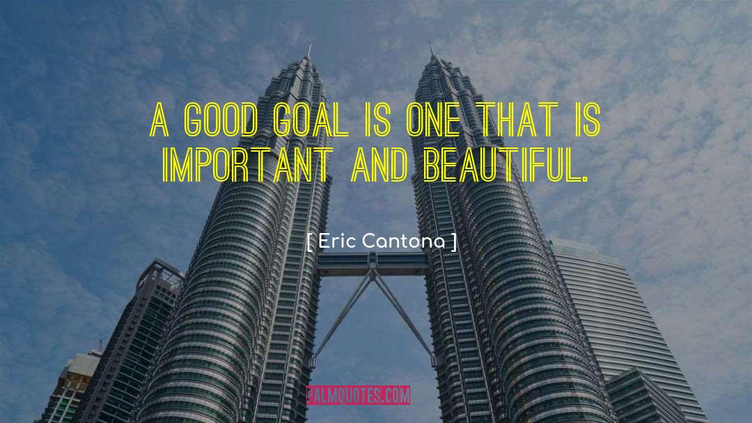 Eric Cantona Quotes: A good goal is one