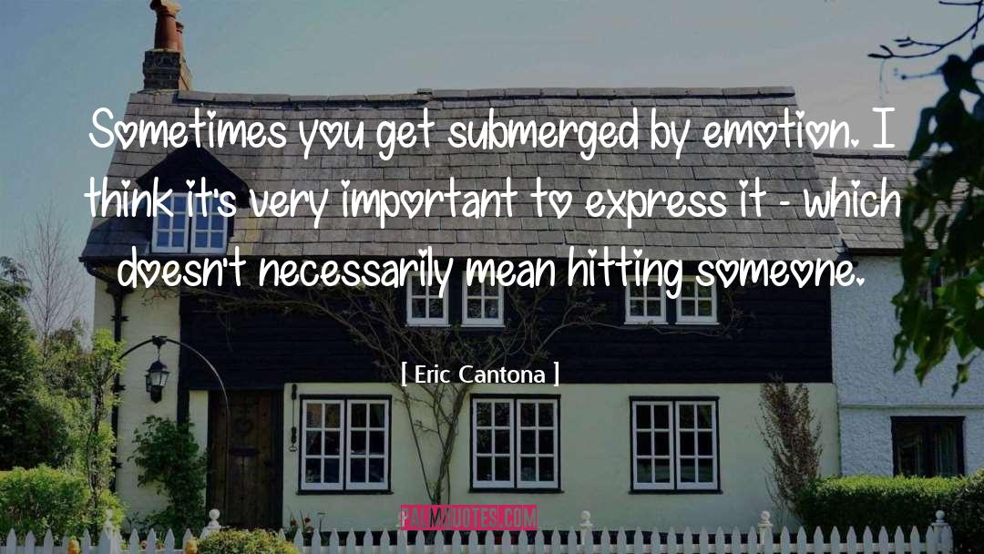 Eric Cantona Quotes: Sometimes you get submerged by