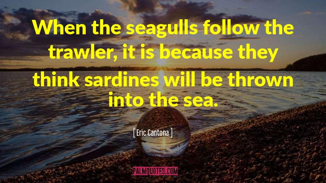 Eric Cantona Quotes: When the seagulls follow the